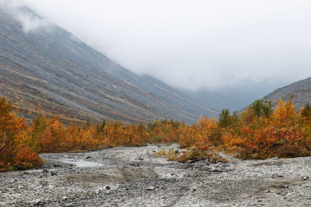 Туманное утро в Хибинах