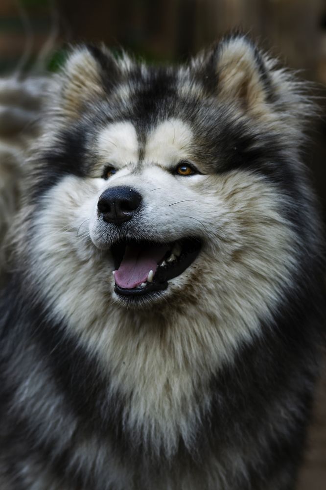 Photograph by Елена Баженова