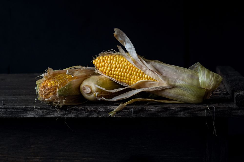 Photograph by Валерия Шамрило