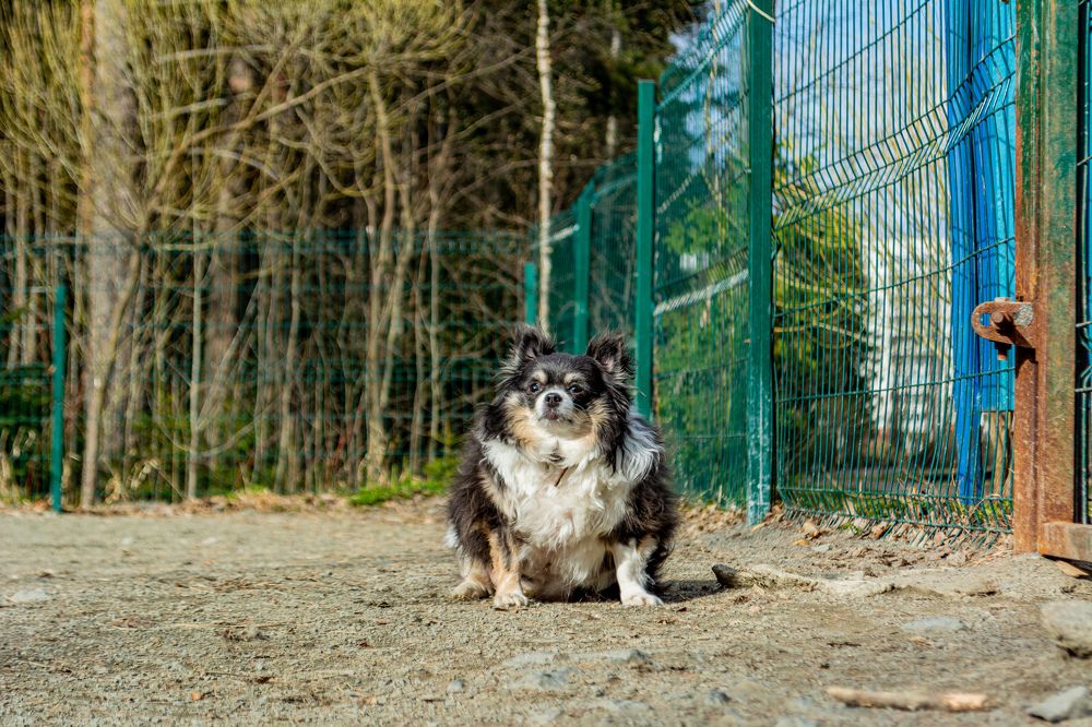 Photograph by Глеб Обуховский