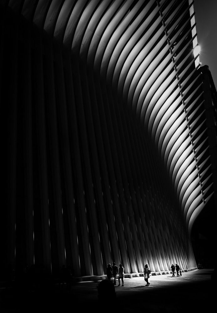 Photograph by Xavier Ponce