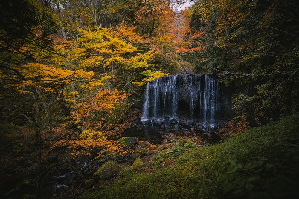 Photograph by Le Dieu