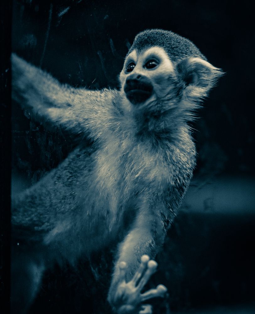 Photograph by Anna Prohorova