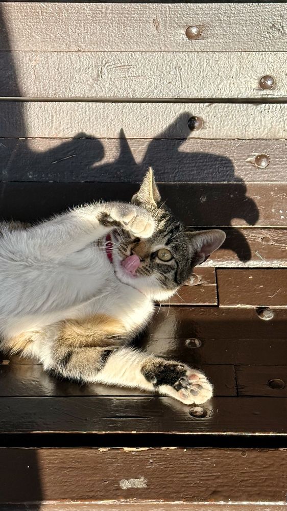 Photograph by Мария Алейникова