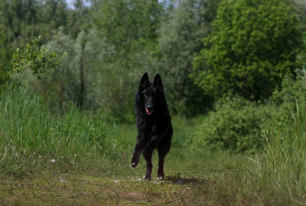 Фотография автора Надежда Лисицына