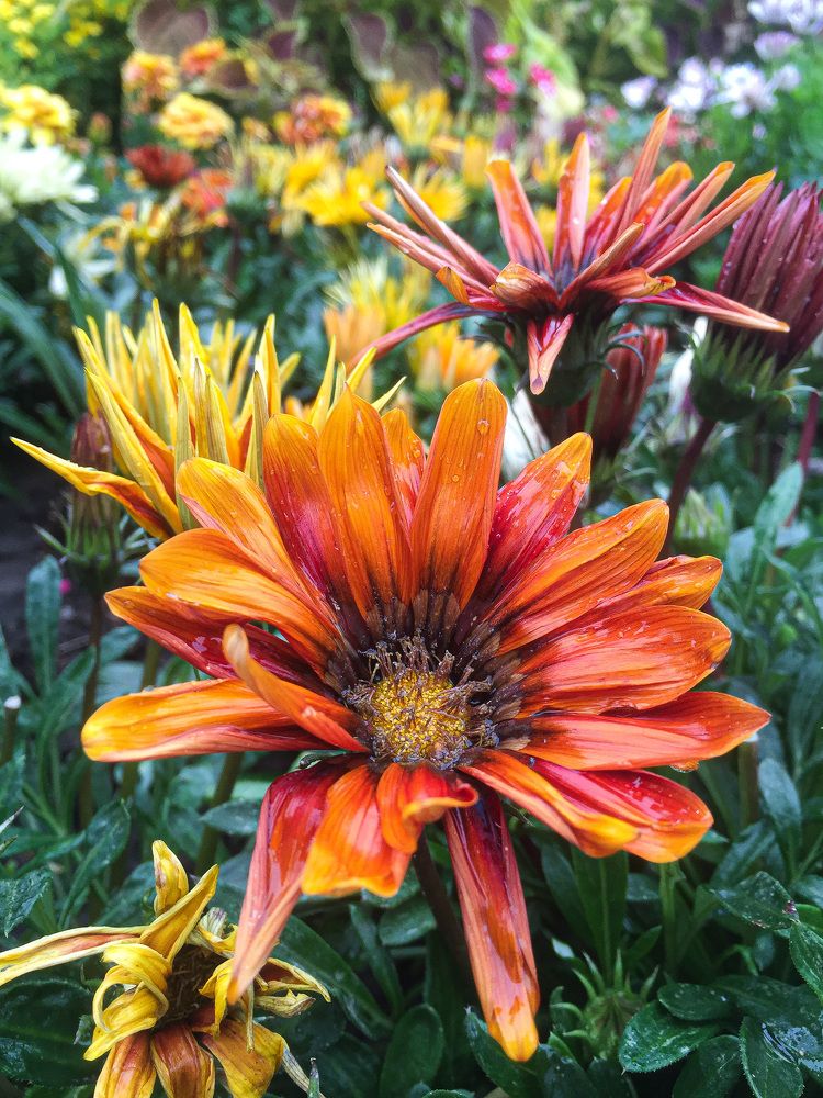 "Take time to see the beauty