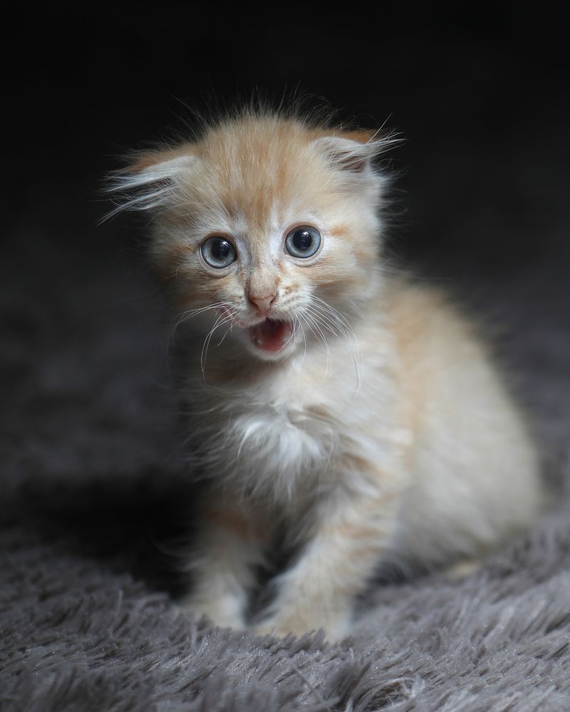 Photograph by Юлианна Митрофанова