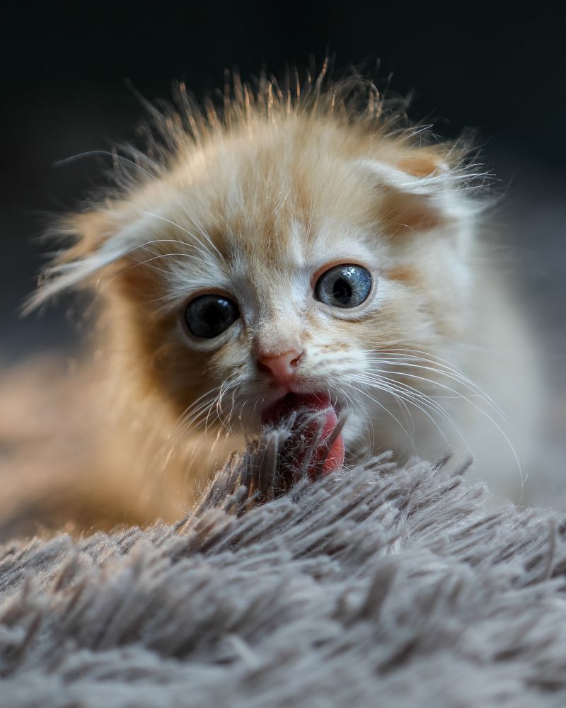 Photograph by Юлианна Митрофанова