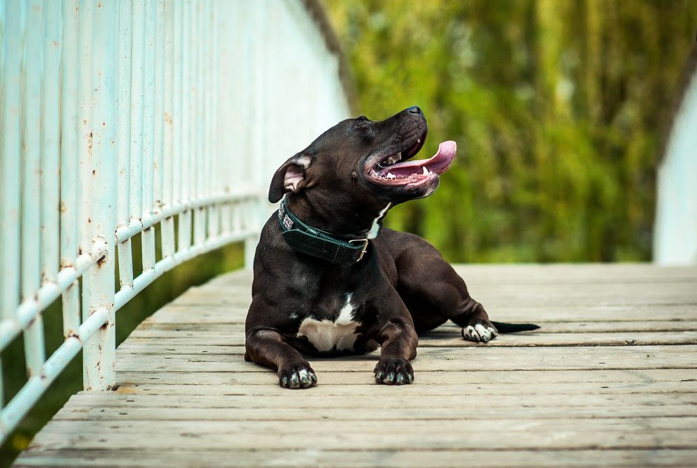 Photograph by Юлианна Митрофанова