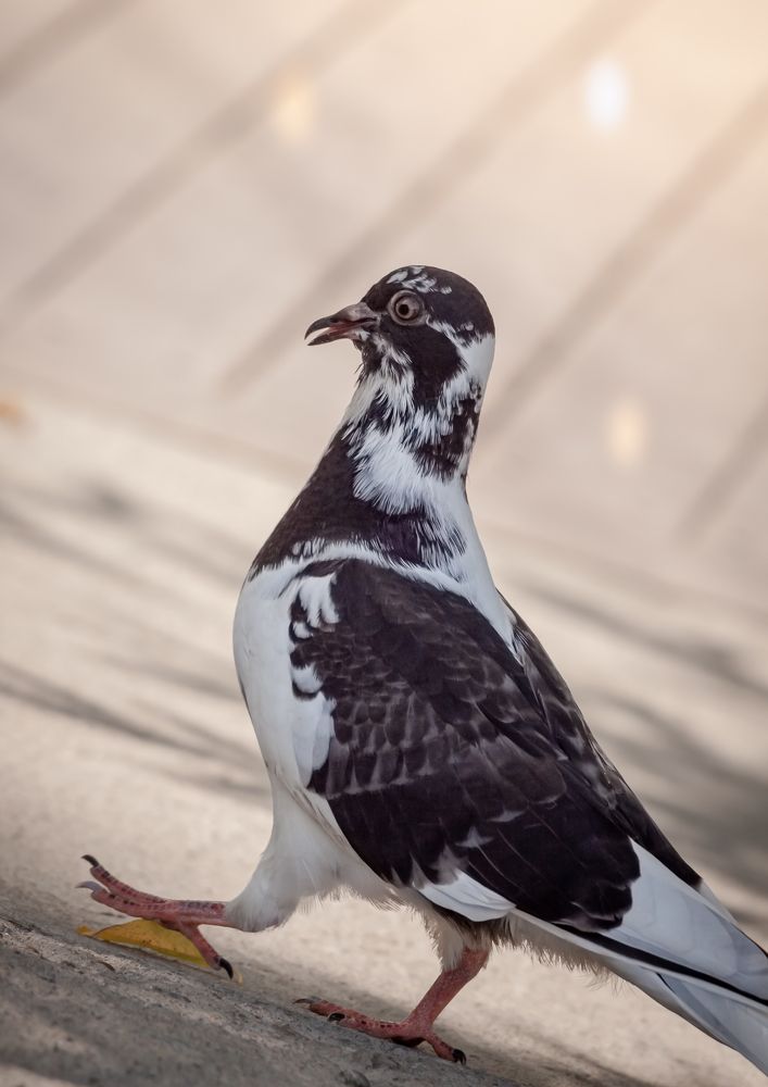 Photograph by Наталья Островцева