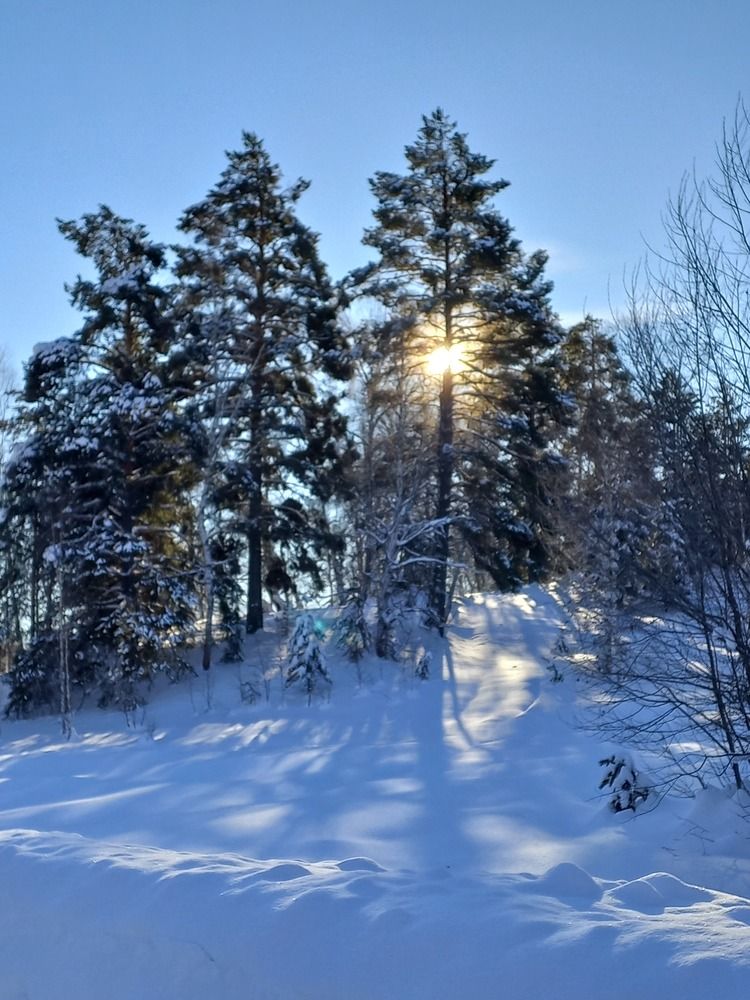 Photograph by Сауия Назмутдинова