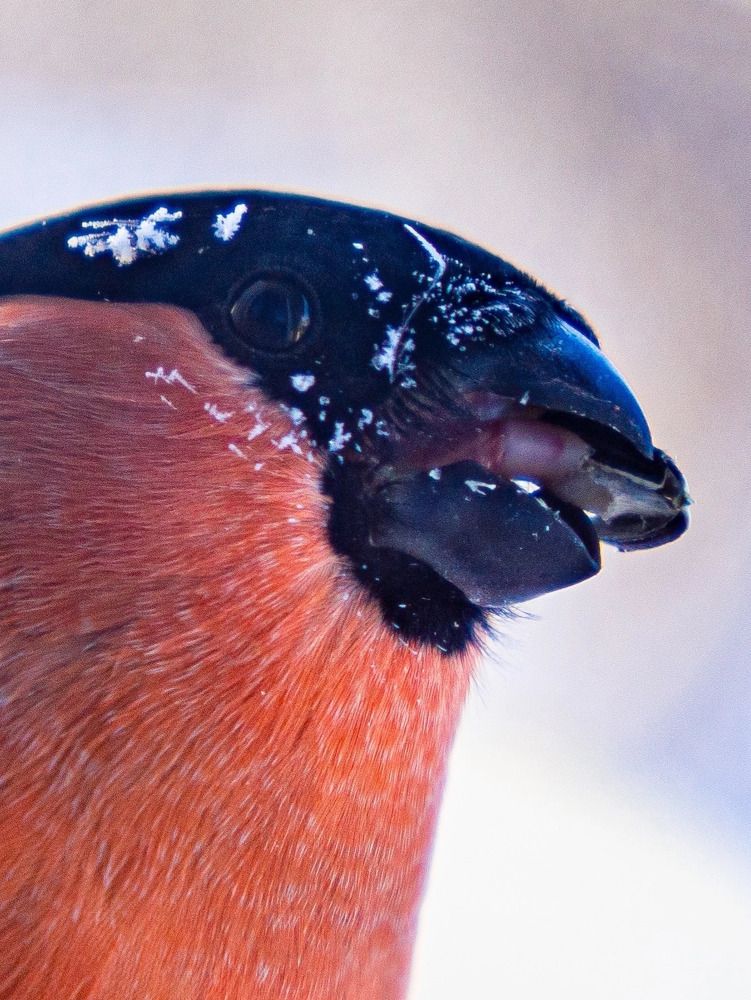 Photograph by Марина