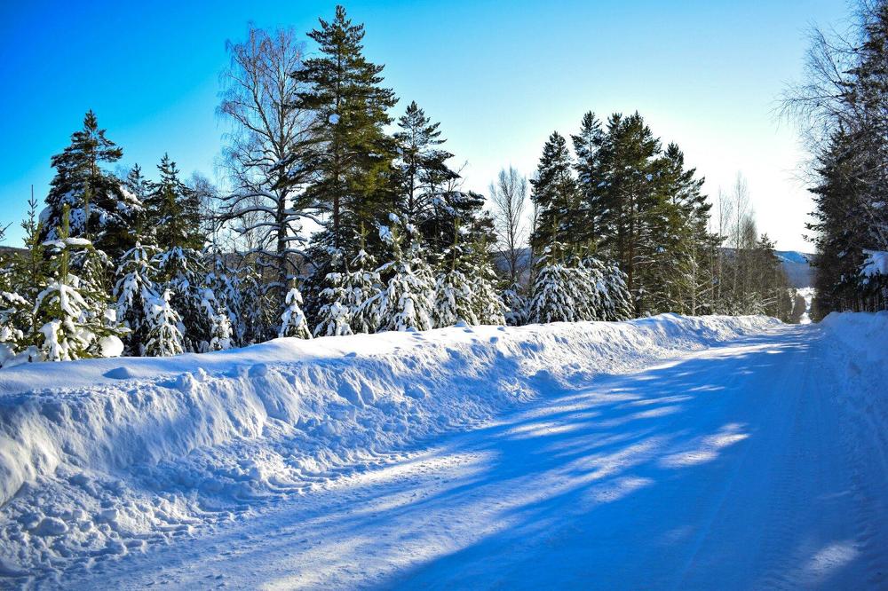 Моя родная сторона