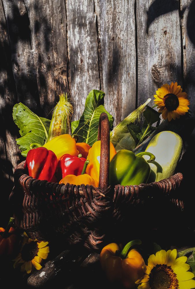 Photograph by Кристина Шляхова