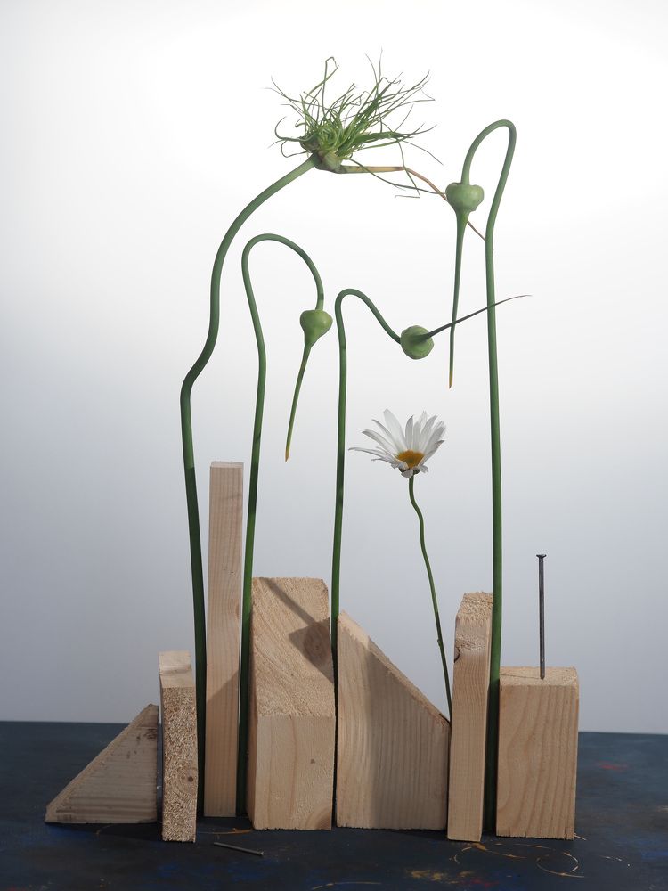 Photograph by Елена Острахович