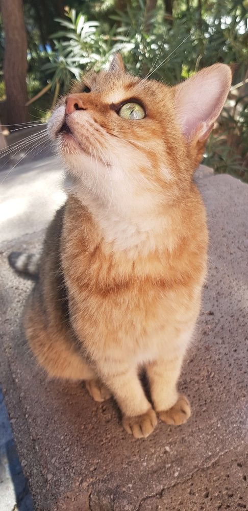 Фотография автора Ольга Мусина