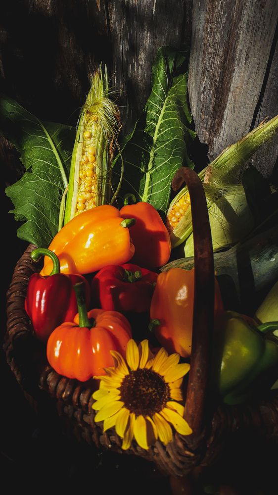 Photograph by Кристина Шляхова