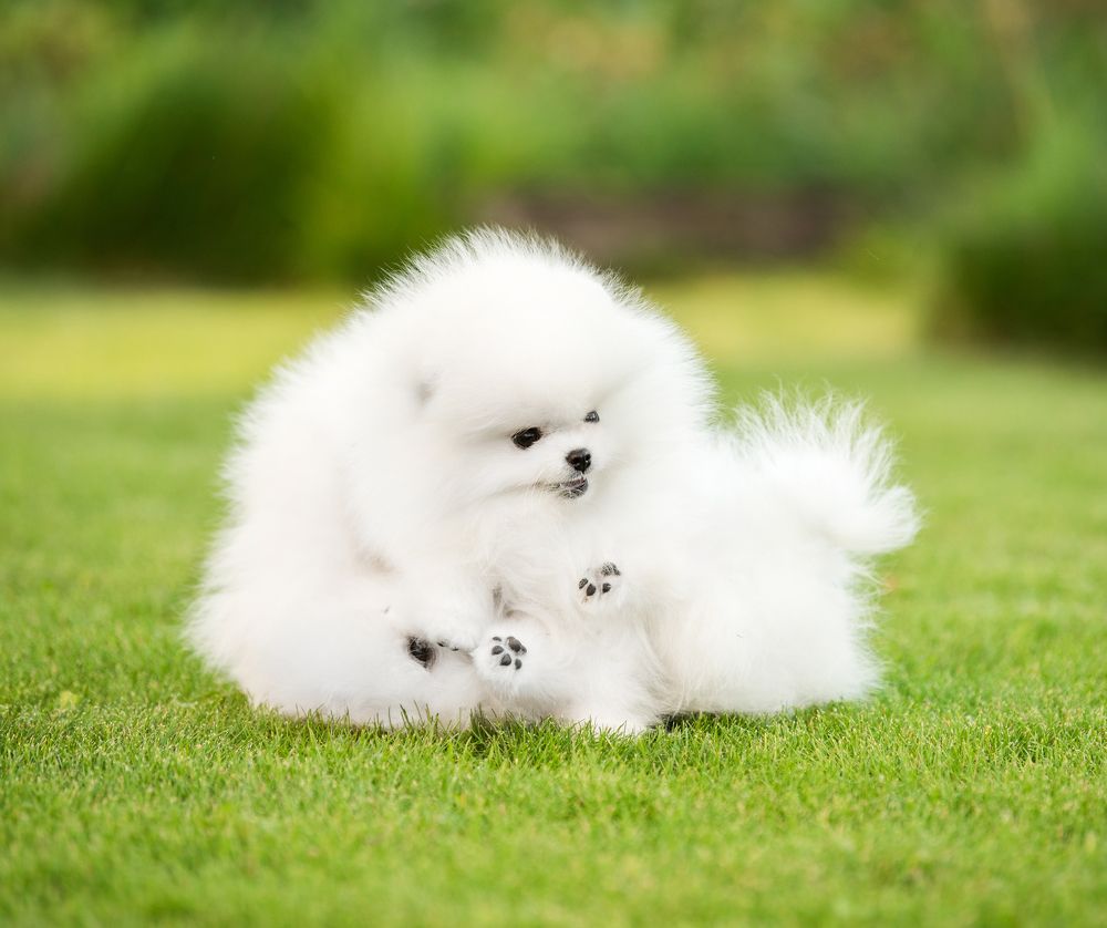 Photograph by Марина Кобелева