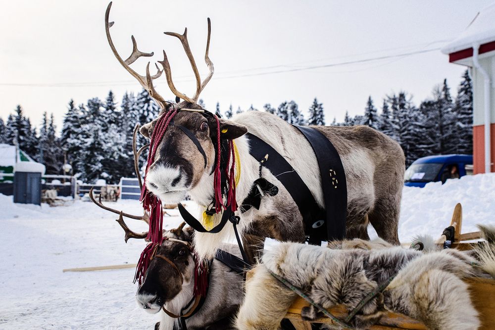 Photograph by Евгений Жуланов