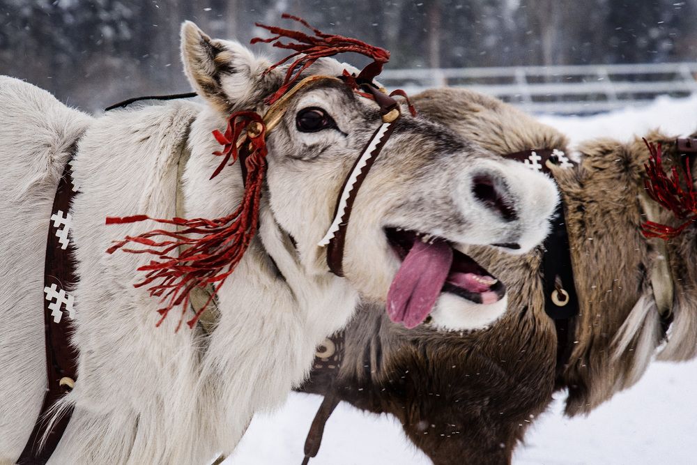 Photograph by Евгений Жуланов