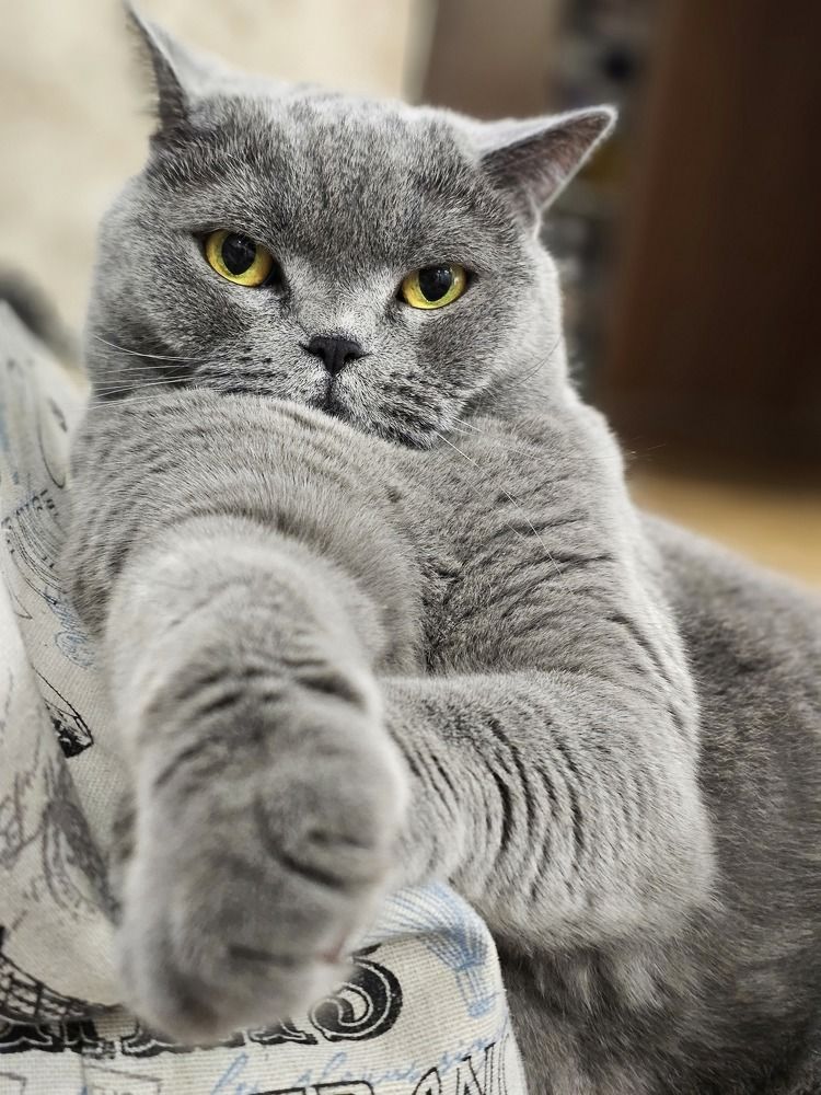 Фотография автора Мария Рудаковская