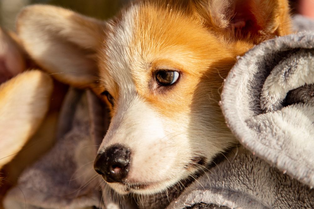 Фотография автора Станислава Гордеева