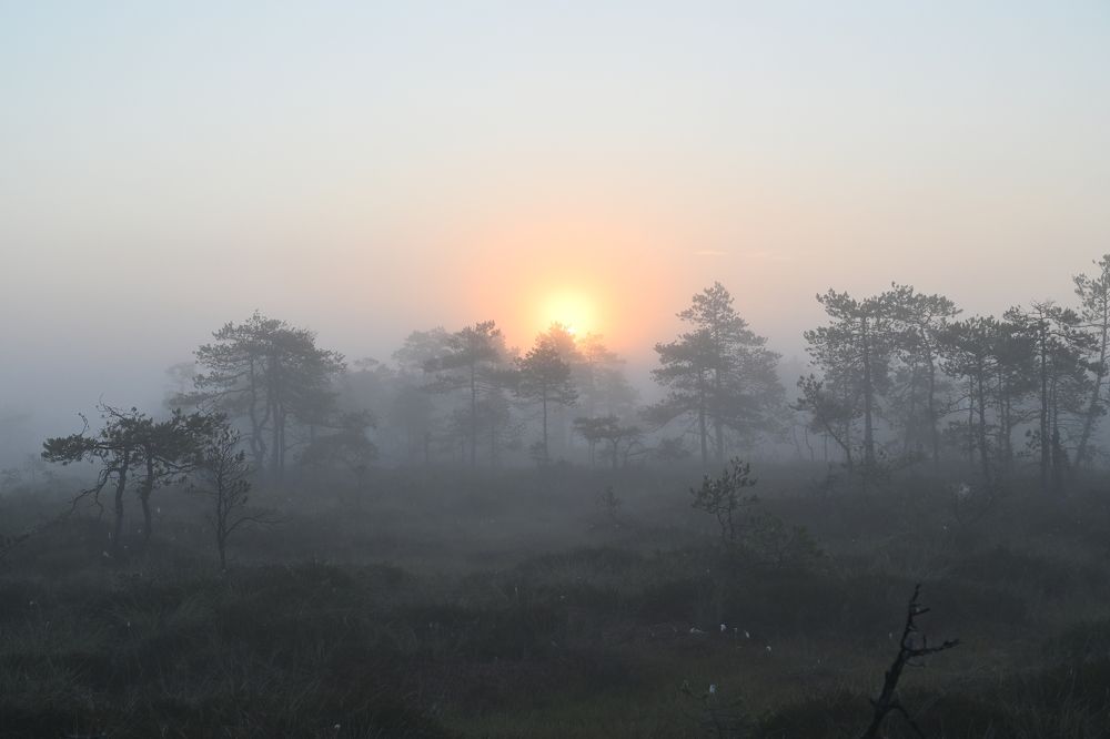 Photograph by IJA REIMAN