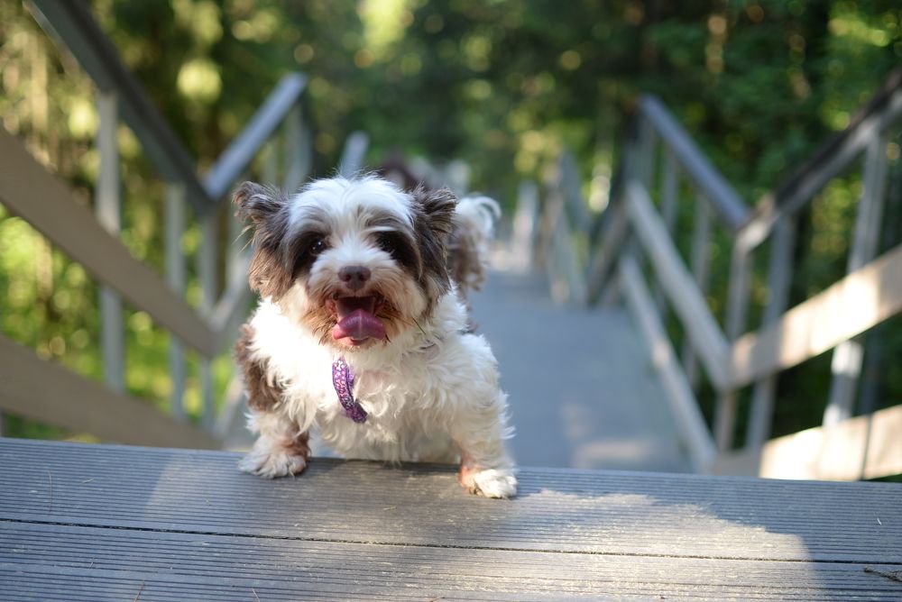 Photograph by Евгений Жуланов