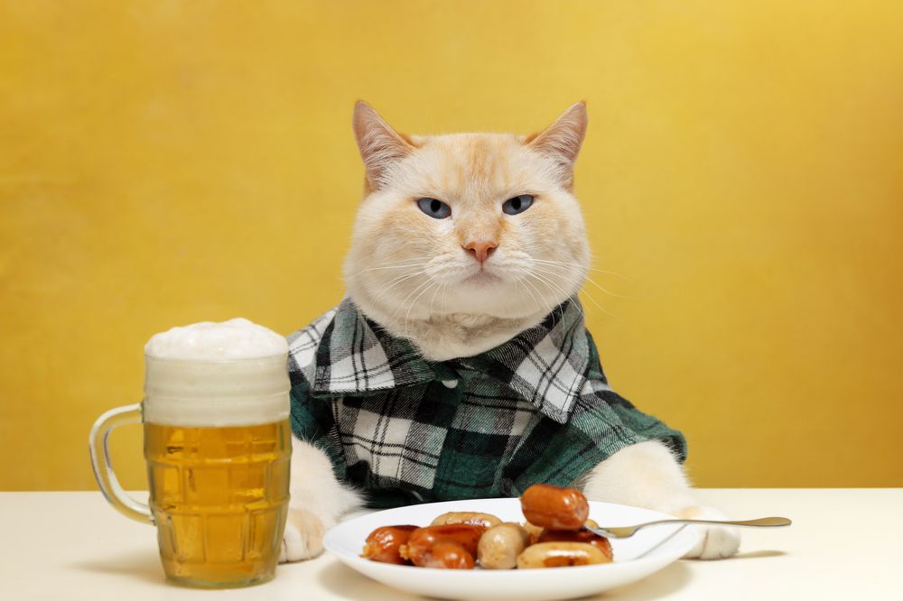 Фотография автора Анна Листишенко