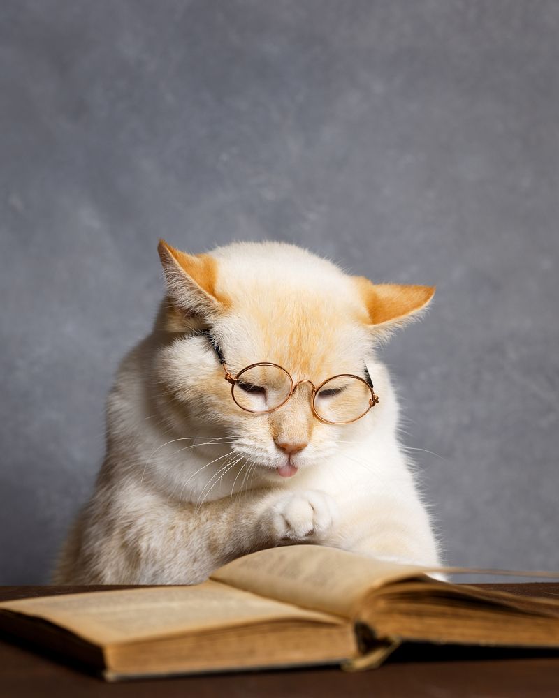 Photograph by Анна Листишенко