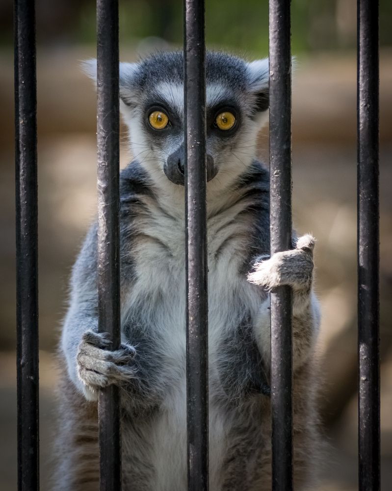 Photograph by Николай Головко