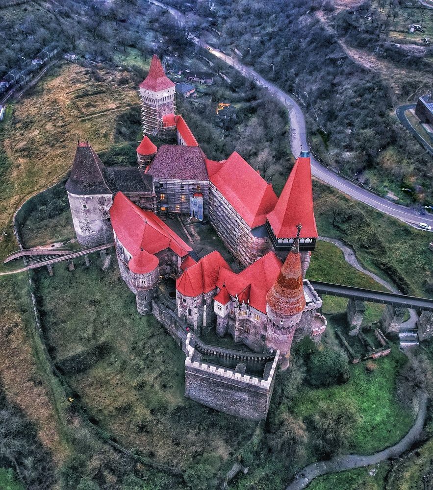 Фотография автора Tommaso Henry Corona