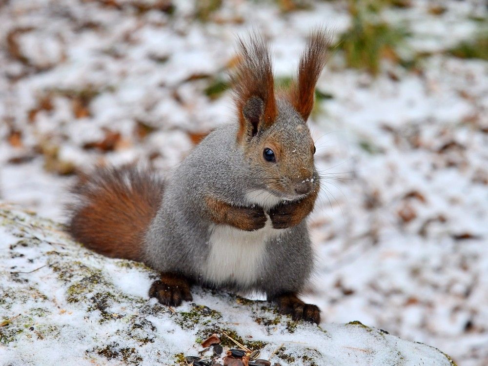 Photograph by Людмила