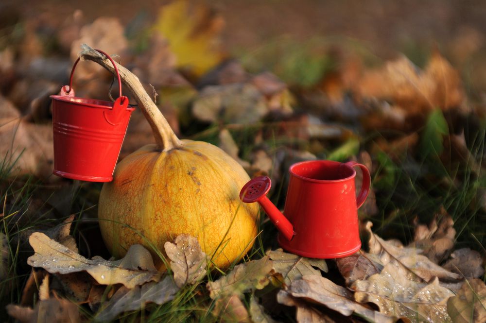 Photograph by Юрий Яковлев