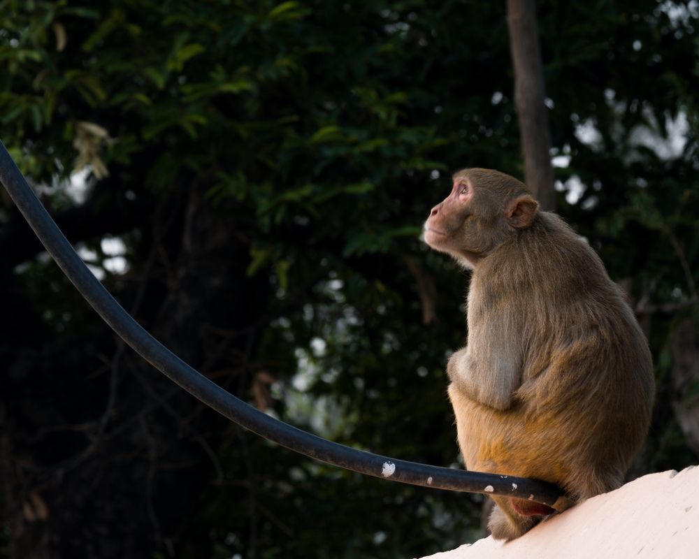 Photograph by Amit Singla