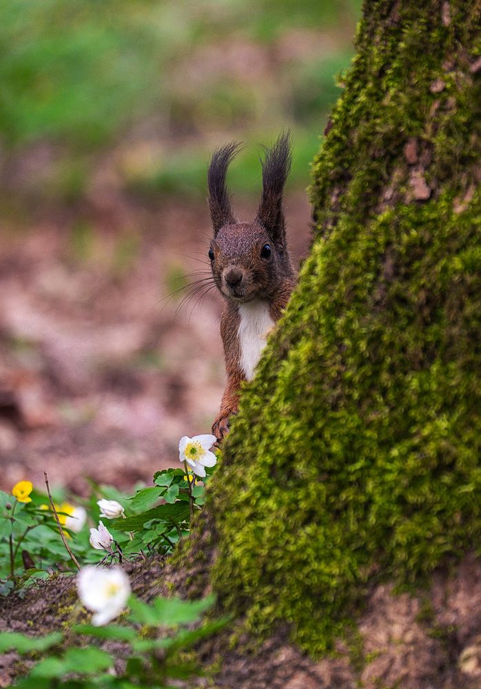 Photograph by Смоляк Максим Дмитриевич