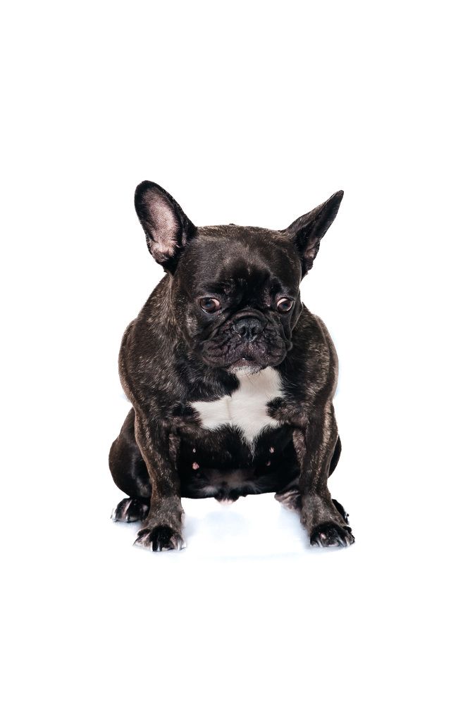 Photograph by Татьяна Биргулиева