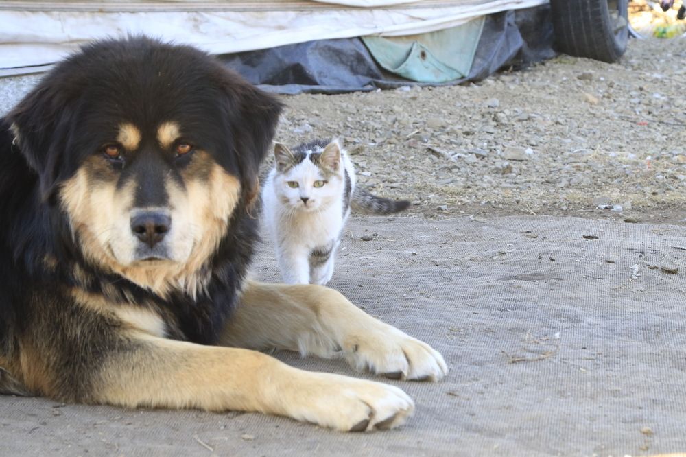 Photograph by urantogos togos