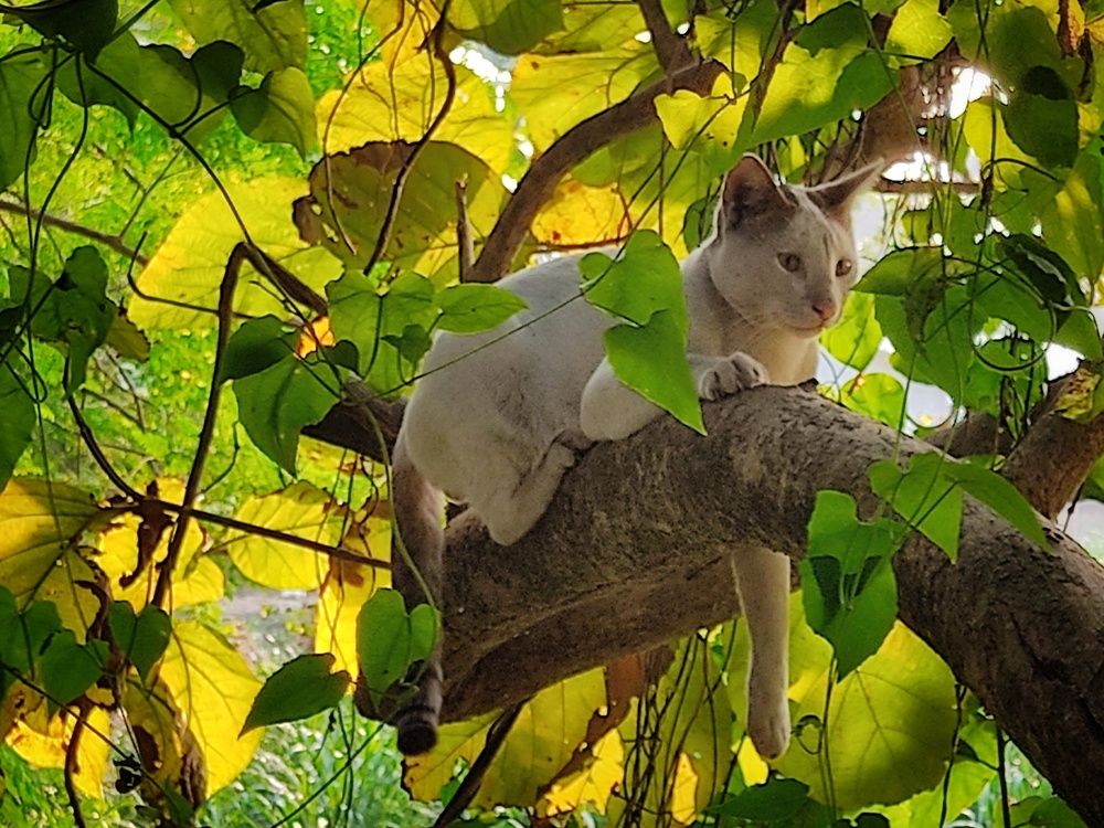 Photograph by Sujoy Kumar Paul