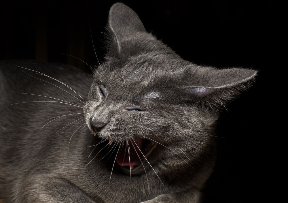 Photograph by Малышев Алексей