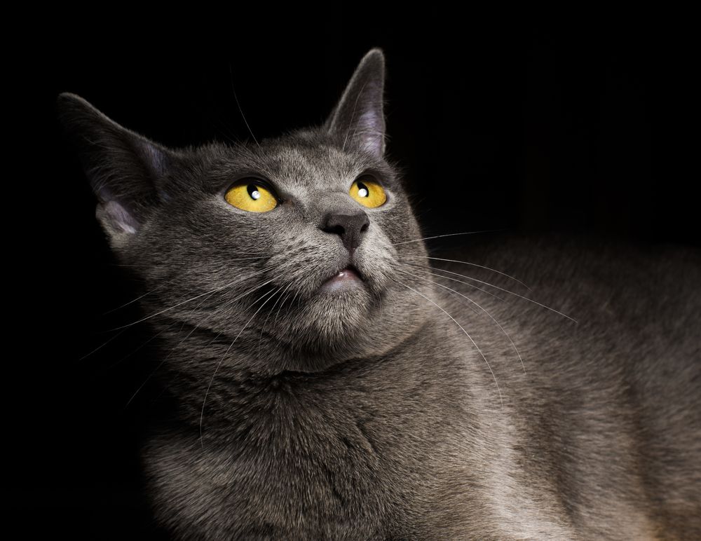 Photograph by Малышев Алексей