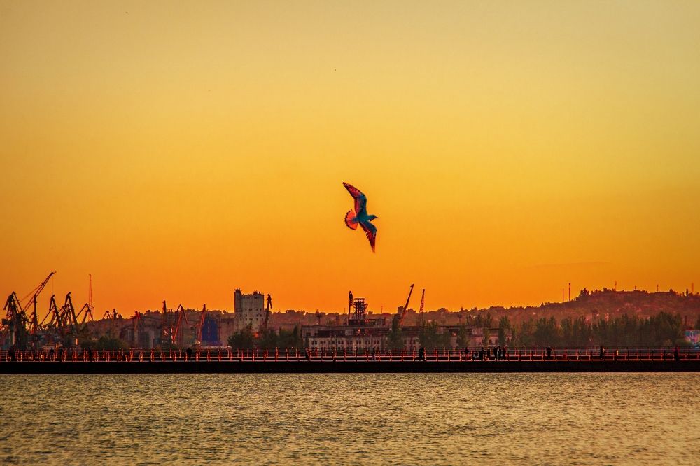 Photograph by Марина Канавченко