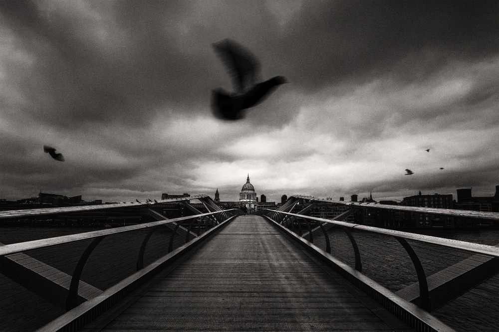 Photograph by Zhenhuan Zhou