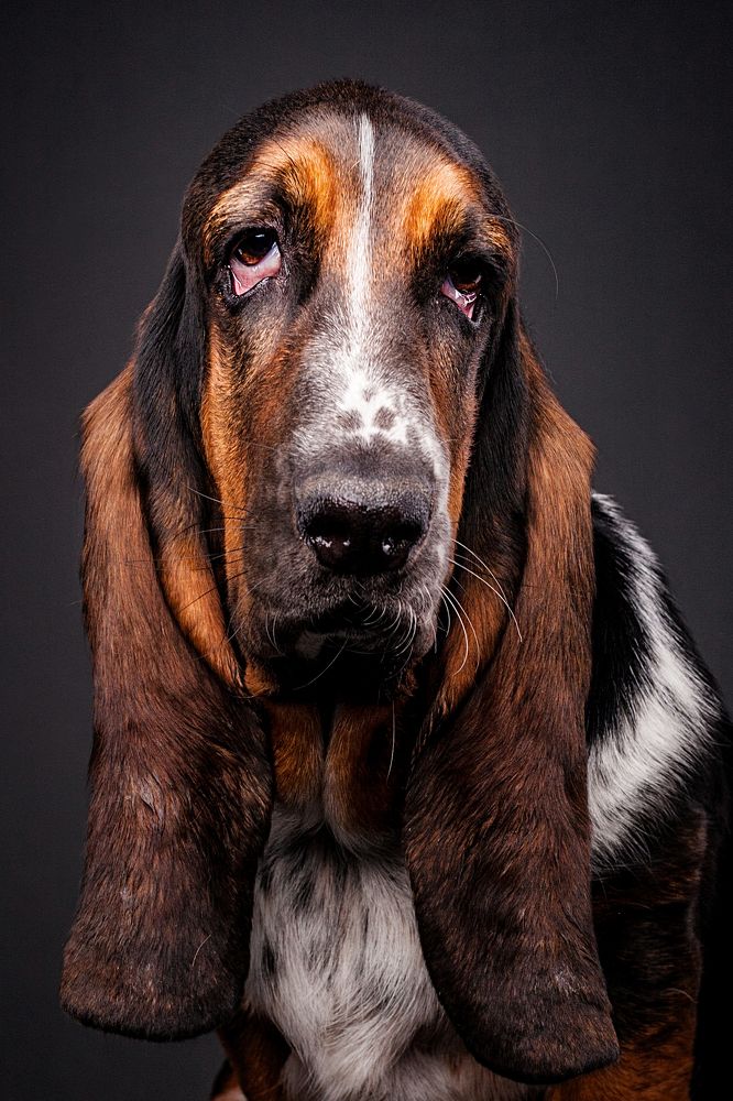 Photograph by Дёгтев Евгений