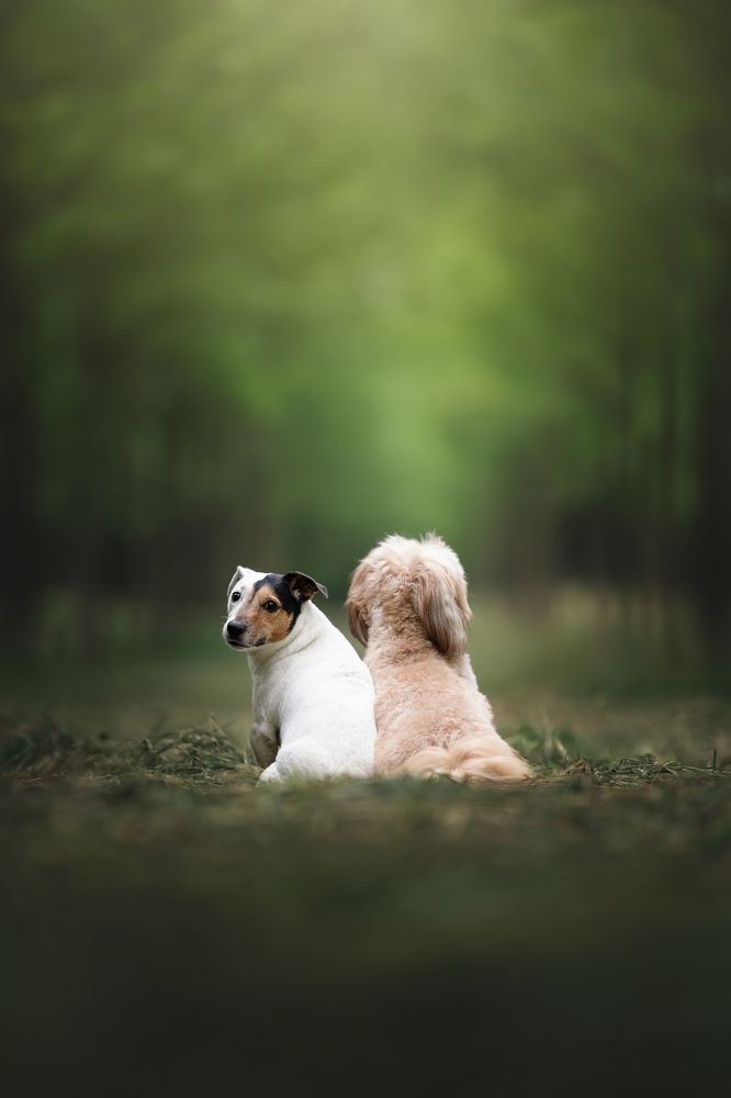 Фотография автора Rut Casanellas