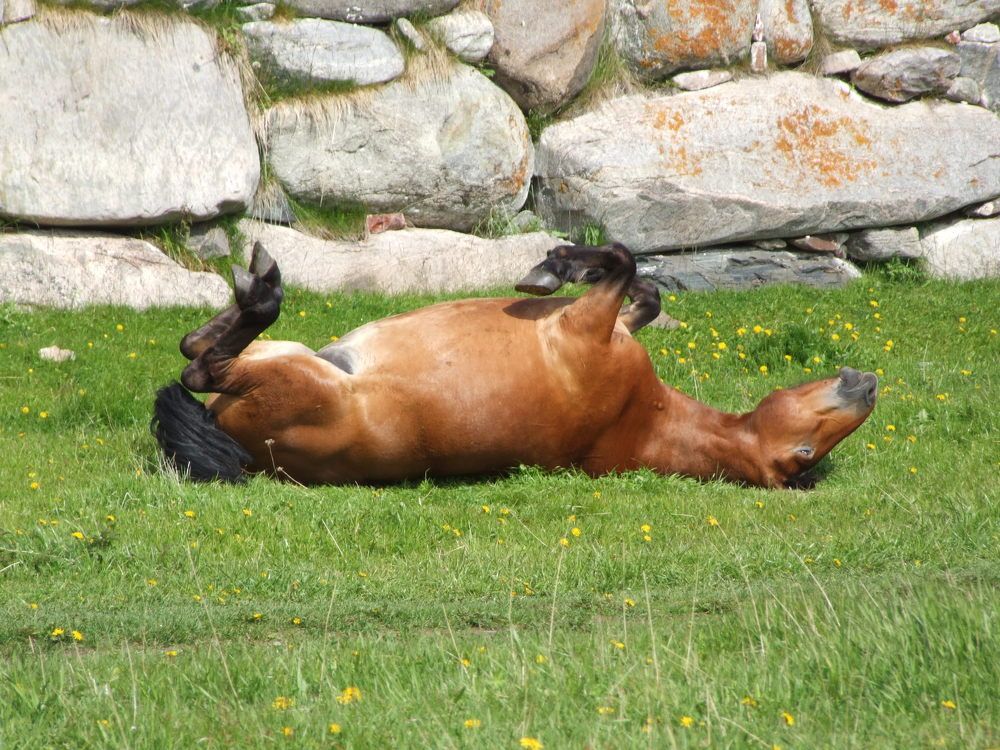 Photograph by виктория воронова