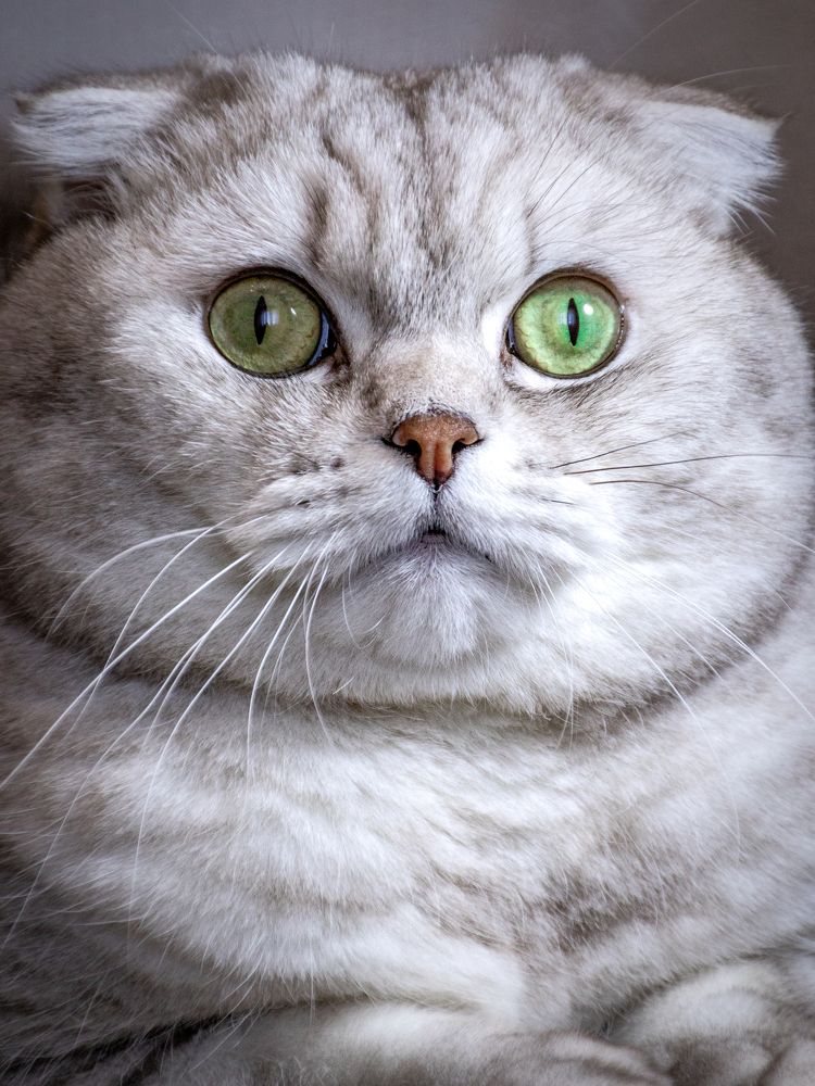 Photograph by Анастасия Лученок