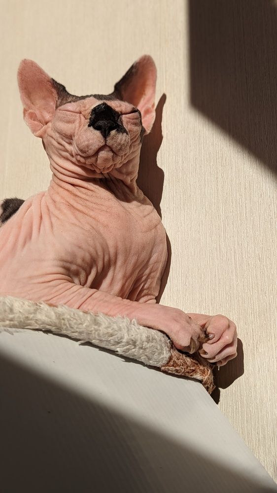 Photograph by Вероника Колбасова