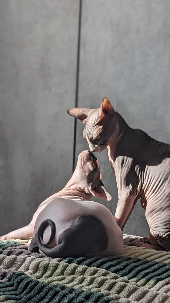 Photograph by Вероника Колбасова