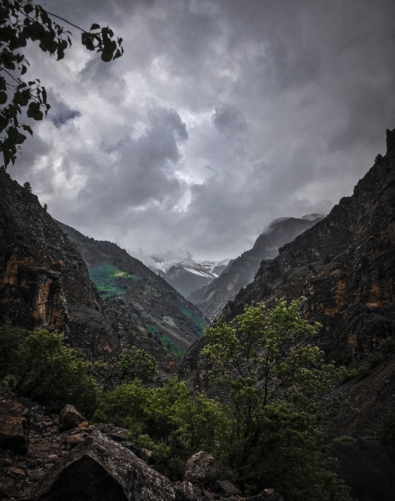 Photograph by Artem Slastnikov